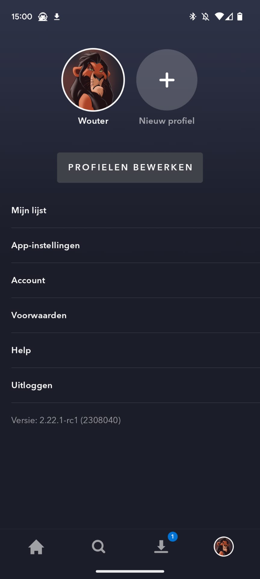 Disney Plus downloaden offline