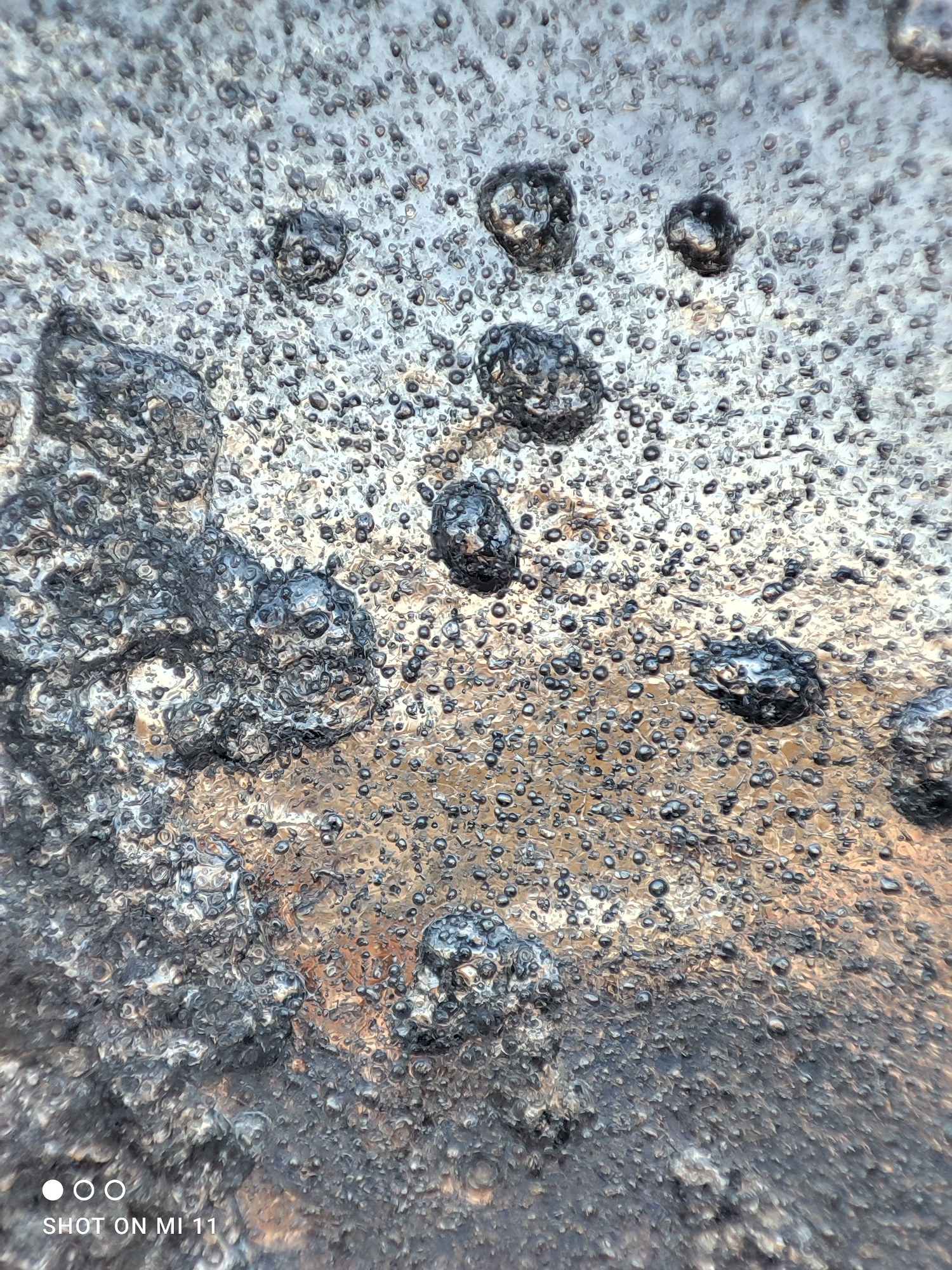 Xiaomi mi 11 - supermacro