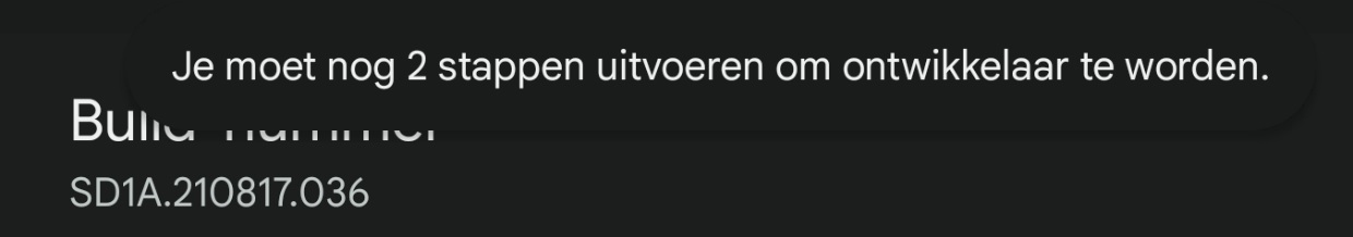 Ontwikkelaarsopties activeren