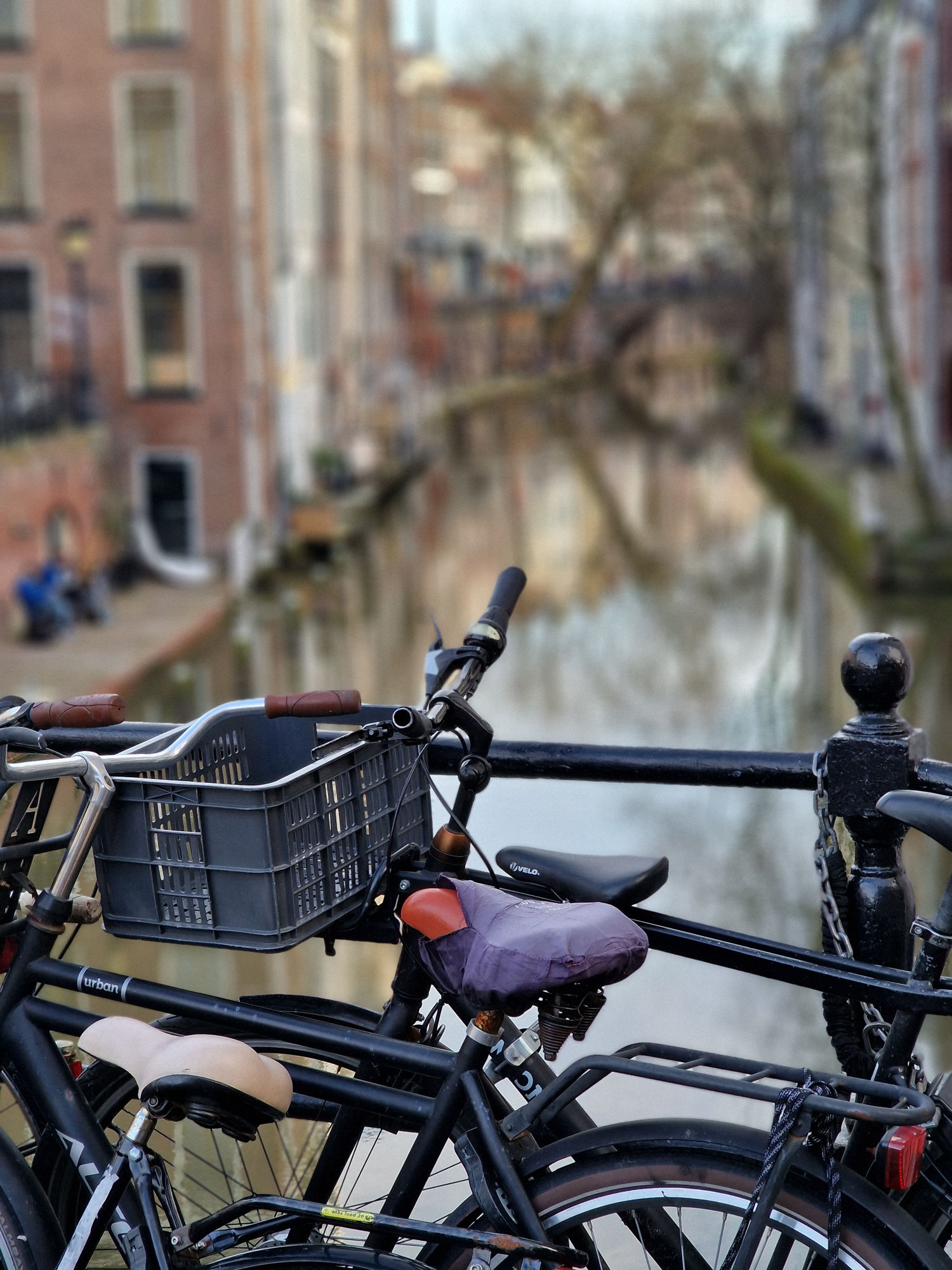 Samsung Galaxy S22 Ultra camera review