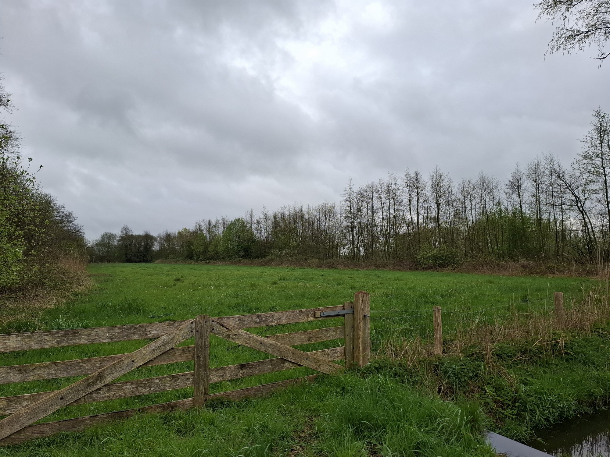 Samsung Galaxy A55 - normaal