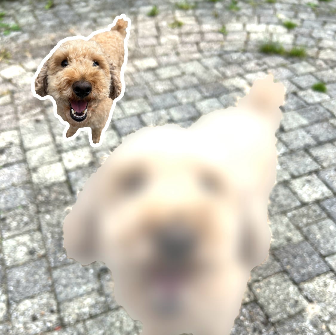 Google Foto's AI