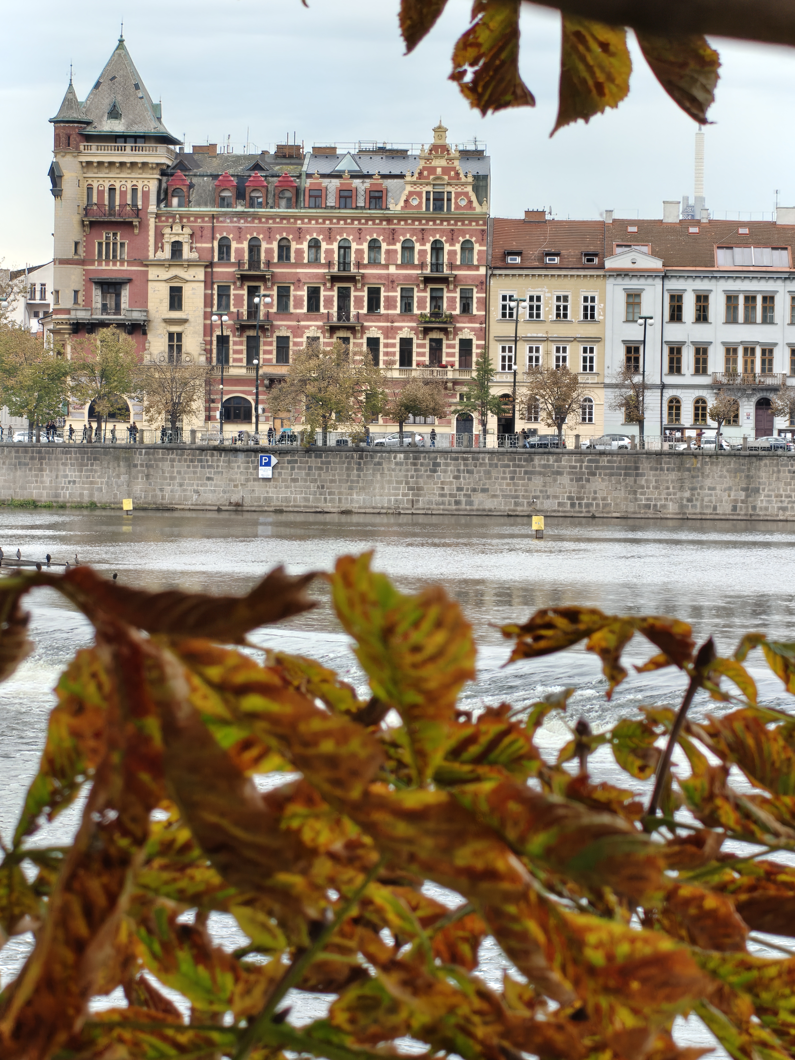 Zicht op rivier en kade Praag